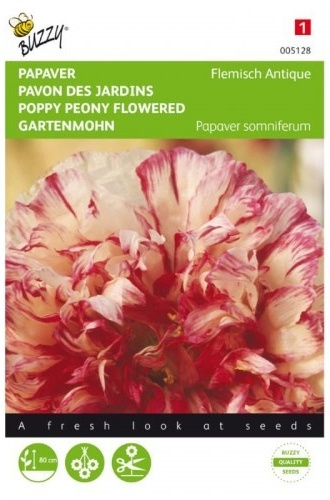 Papaver somniferum Flemish Antique, Mak okrasný plnokvetý  cca 0,25 g